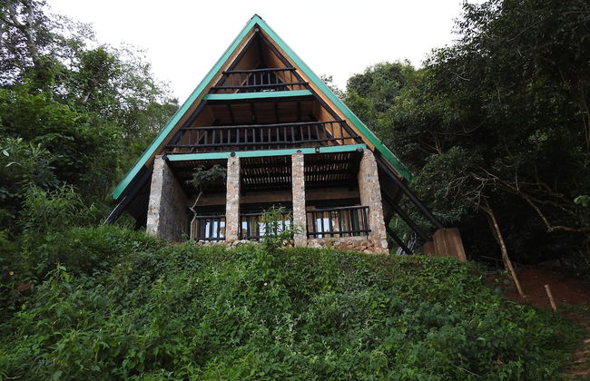 Madrugada Magic - Foto 28