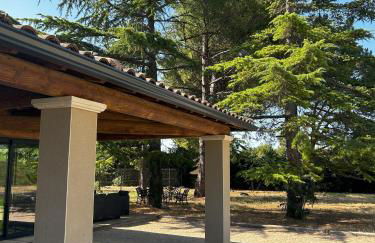 Mazet des Cèdres au pied de la colline - Foto 23