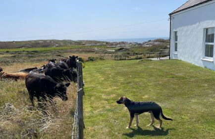 Garreglwyd - relaxed, rural, holiday house with outstanding sea views - Foto 23