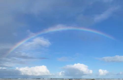 Casa beira mar com piscina Coruripe Povoado Miai de cima - Foto 42
