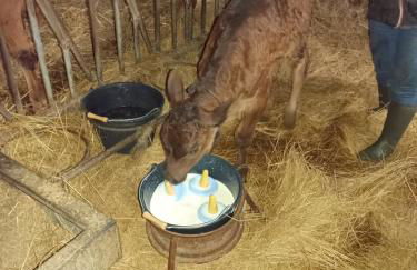 eco nature, gite à la ferme - Foto 25
