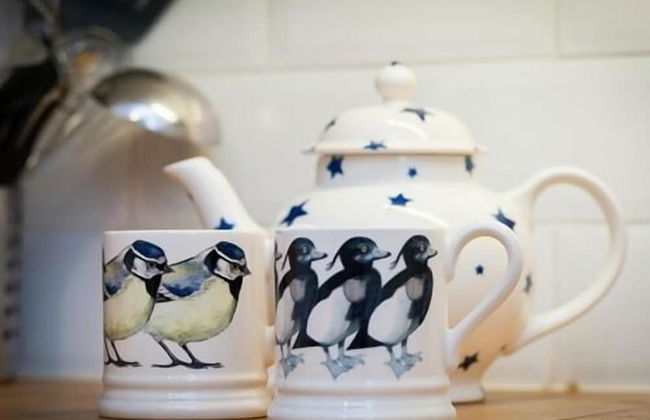 Bronfelin & Troed-y-rhiw Holiday Cottages - Foto 20