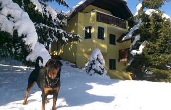 Kuća za odmor Gorski san - Foto 24