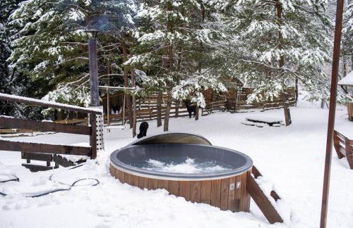 Chata Pod Lasem - Foto 58