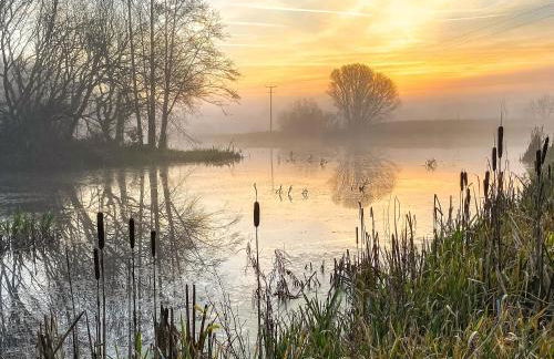 Kite Cottage - Photo 8