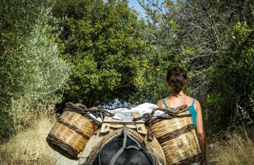 Enagron Ecotourism Village - Photo 38