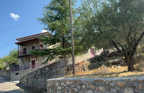 Terra Petra Villa at Psari Trikolonon Gortynia - Photo 21