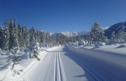 Ferienwohnung Landhaus Martin - Foto 41