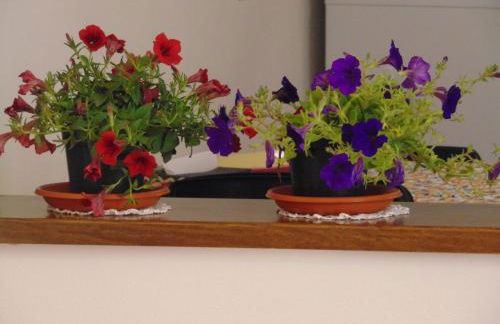 MATTE VITTO - Foto 11