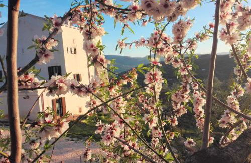 Torre Bruno - Foto 7