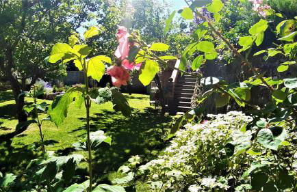 Casa di Leo with pool - Foto 37