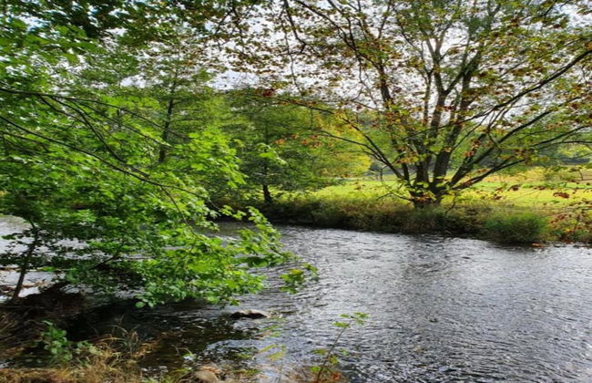 Regal Apartment in Pracht With Garden and Grill - Foto 30