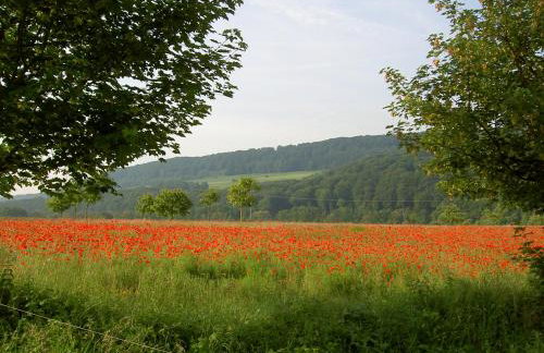 Im Baumhaus - Foto 17