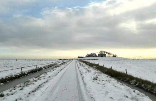 Gästehaus Neuwarft - Foto 6