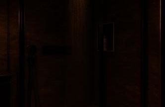 Jungle Room Strasbourg - Évasion Tropicale - Sauna Jacuzzi Balnéo - Foto 21