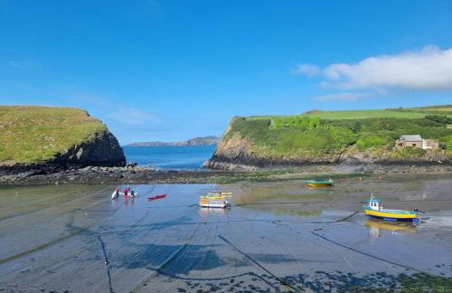 Cosy Cottage overlooking the Teifi Gorge - Foto 17