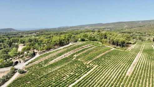 Maison Pipette Pipette Maison - Foto 5, Garden