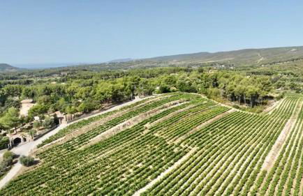 Maison Pipette Pipette Maison - Foto 5