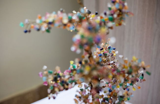 Rancho Haas - Photo 65