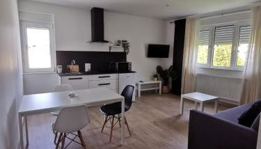 Apartamentos Seijo - Foto 4