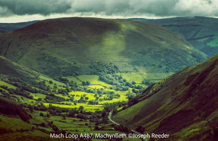 Little Curlew, Ynyslas, Borth - Foto 32