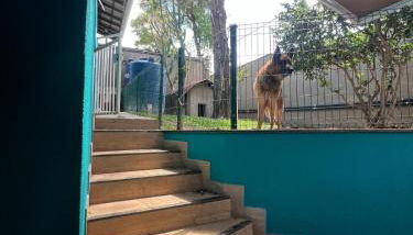 Chácara Incível - Foto 4