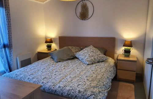 Appartement cosy et climatisé pour 1 à 4 personnes 150m place Gambetta - Foto 3