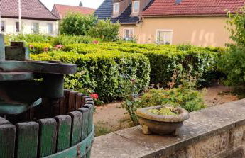 Ferienwohnung am Hollergraben - Foto 27