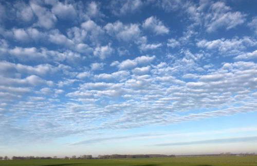 Feriendomizil Hohendorf - Photo 11