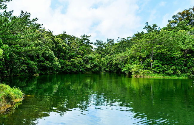 Allstay Goya - Foto 29