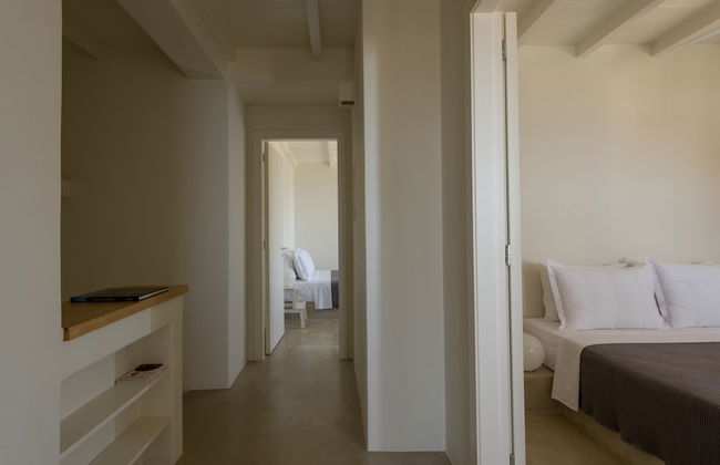 Andros Tessera - Foto 7