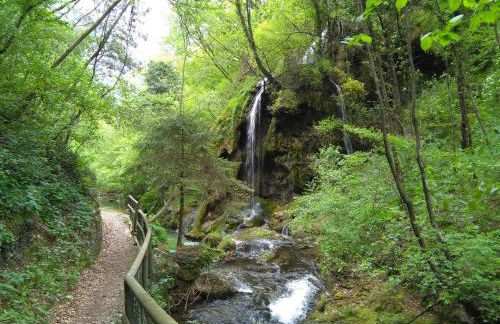 Le Betulle - Foto 15