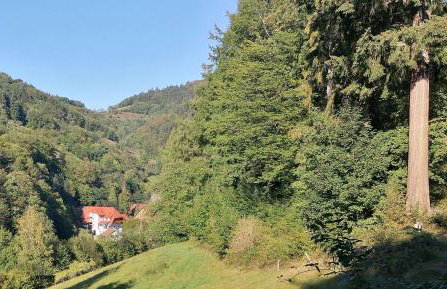 Huberhof Pfaffenbach - Photo 15