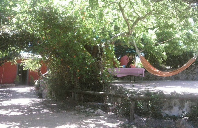 Casa Bi Rosario - Quinta Amoreira - Foto 22