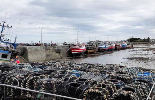 Roscoff 2 pièces classé 2 étoiles et terrasse centre historique - Foto 15