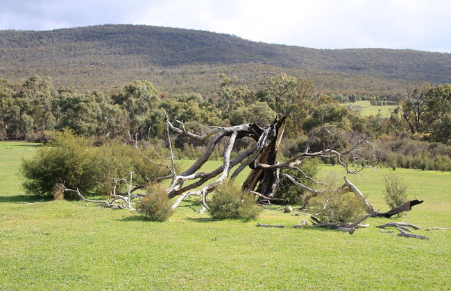 Boroka Downs - Photo 36