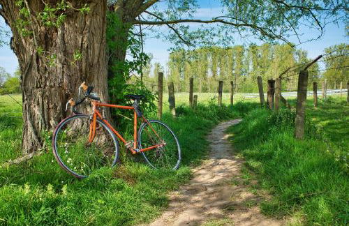 LARBRENVILLE Gîtes citadins en centre-ville historique - Foto 11
