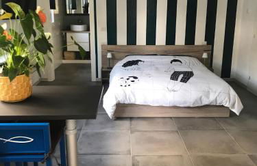 Papero rosso - Foto 15