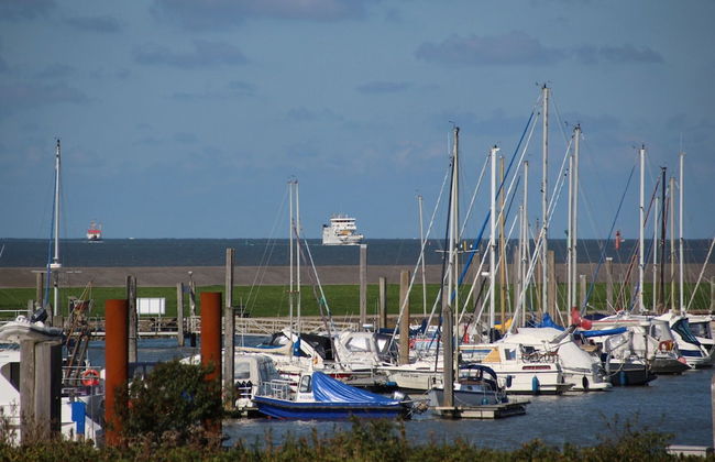 Ferienwohnung am Deich in Berumbur - Photo 12