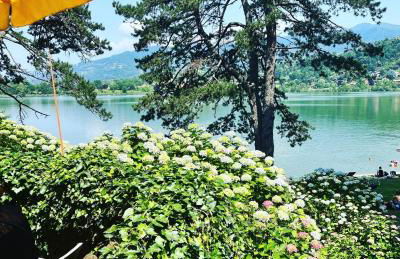 85 mjka house free parking COMO - Foto 34