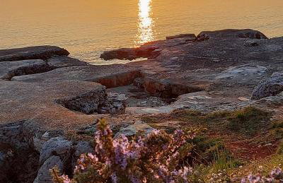 Pipo Apartment Mareda - Photo 42