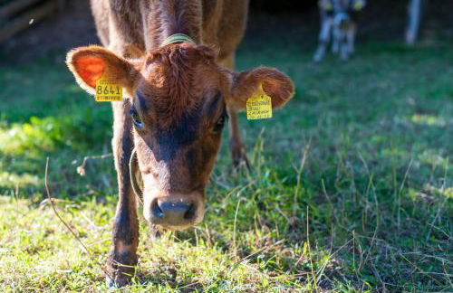Plattner-Hof - Foto 40