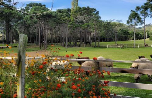 Cabana Pequeno Bosque som dás Águas - Foto 47