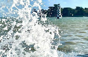 Les pieds dans l'eau - Photo 13