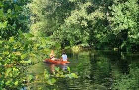 Quinta das Levadas - Country House & Nature - Foto 10