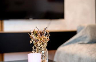 Ferienwohnungen zur Jägerin in Stamsried - Luftkurort - Foto 18