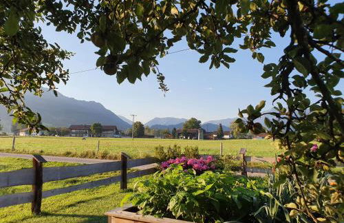 Schneiderhof Ferienwohnung mit Alpenblick - Foto 14
