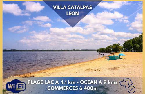 *Villa Catalpas* Landaise, rénovée avec piscine - Foto 5