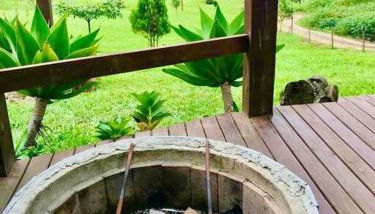 Sítio Vida - Photo 2