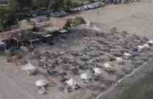 •Naiades Villas• Odysseus• - Photo 48